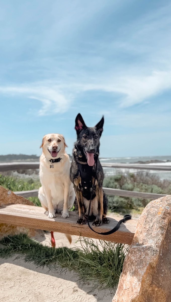 xRCEN's tweet photo. @Loveabilities My 2 gorlz https://t.co/WWbp61Vyaa