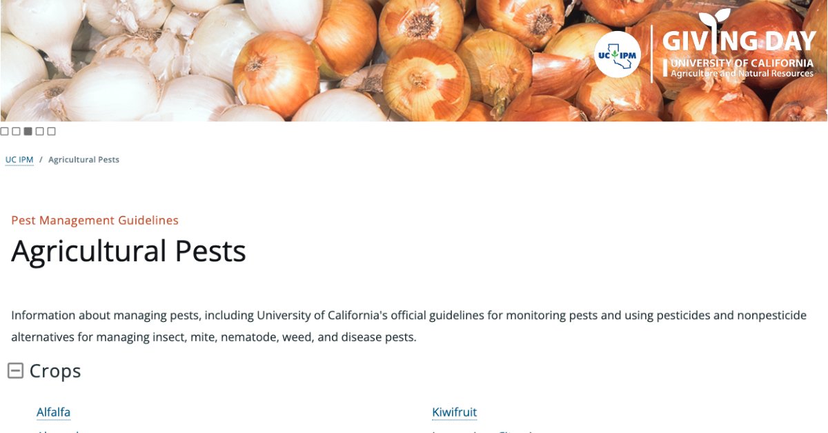Did you know the UC IPM Pest Management Guidelines have been around since the 80s? Hey, we’ve updated them since then! We’d love your support to keep them updated &amp; you can keep learning about integrated ways to manage your pests. May 18–19, noon to noon. ipm.ucanr.edu/make-a-gift/?s…