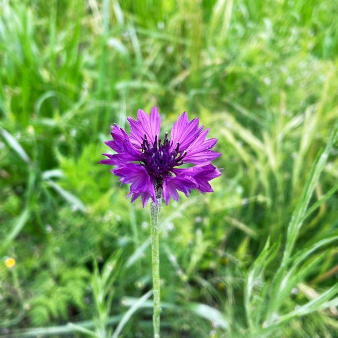 Twitterのコスプレ画像3