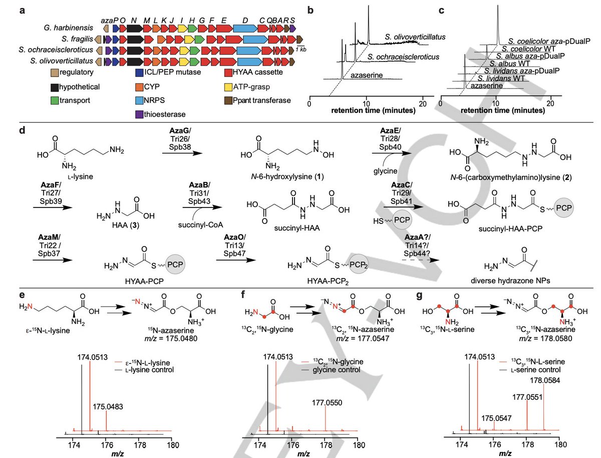 Enzyme Chemistry tweet media