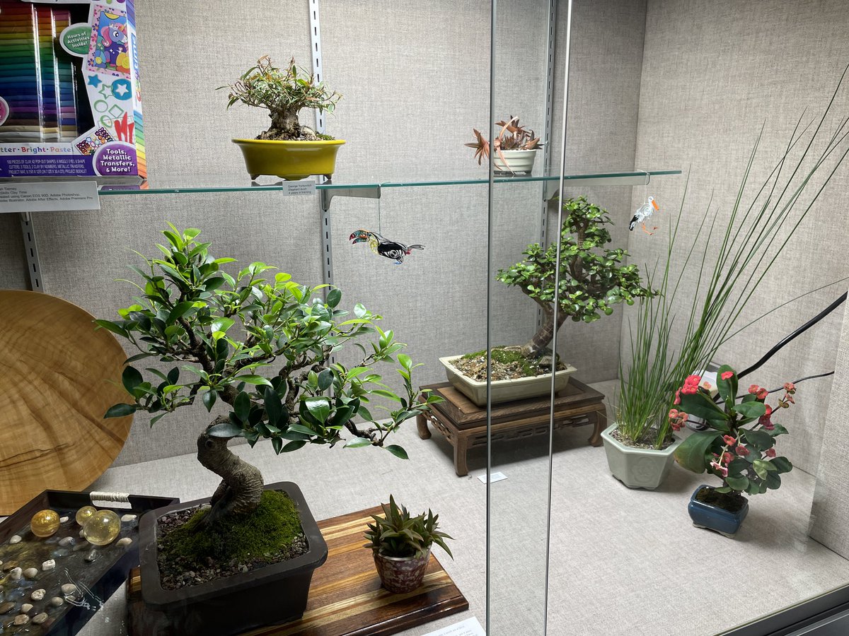 LanaArlene's tweet photo. Seeing how art plays out in the lives of so many Alumni makes my art teach heart skip a beat! There are so many impressive paintings, drawings, photographs, and 3D work in the gallery. There are even live bonsai trees, thanks to George, a 2009 grad! https://t.co/Hv4kooIZYx