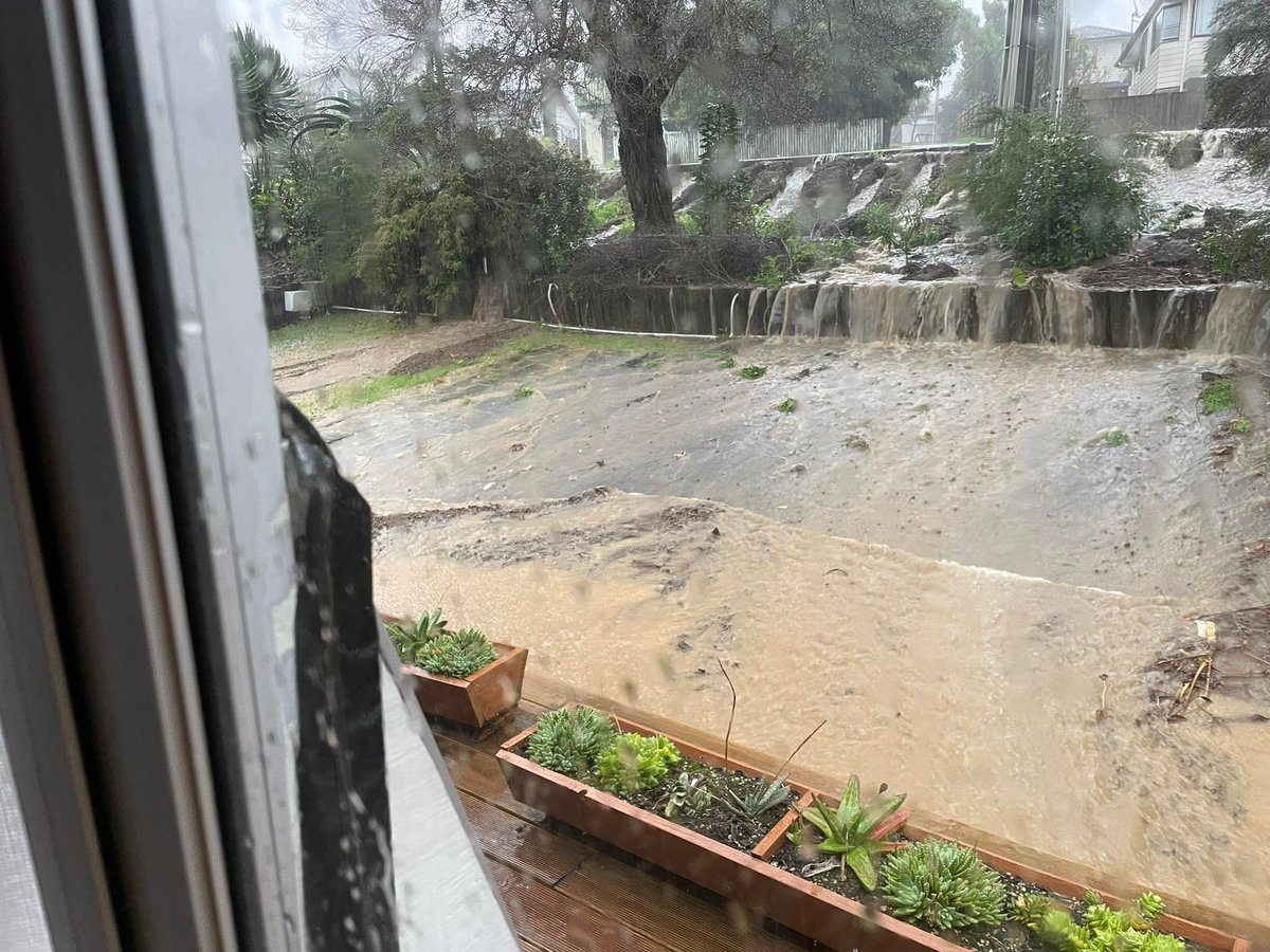 Paul Shingles tweet media