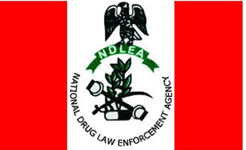 NDLEA NIGERIA tweet media