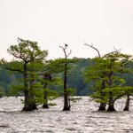 Photo by American Academy of Arts & Sciences (@americanacad)