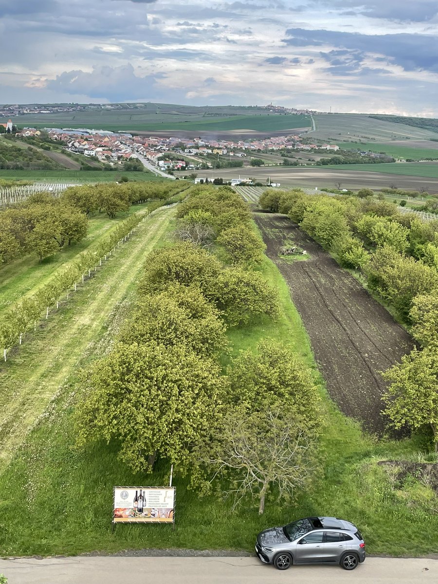 Lucias2106's tweet photo. Výlet na Jižní Moravu. Běhací soukromé soustředění s mamkou. #boretice #vrbice #rozhlednaslunecna #mercedesgla #jiznimorava #ilovejiznimorava #slunecna #zasluncem https://t.co/MI4ypXo5bM