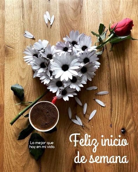 💫Luego Dl 🍽️ les Invito 1 Cafe 

#ConMaduroMásCerca

@UrriolaCandanga
@GinezYuraima @MamJosefina1
@Salo_049  
@MkPatriota @RosnierAvilan @nogales255 @lagordis03041 @IsabelTeresaSu3 @JoseGuaina23 @AnaisS203 @anarug54321 @YuniBurgos @gipsybell23
@Michell70380832 
@Migdali61937762