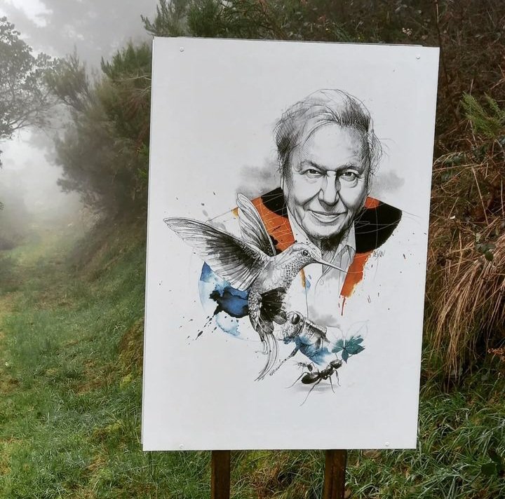 Asociación Corripa tweet media