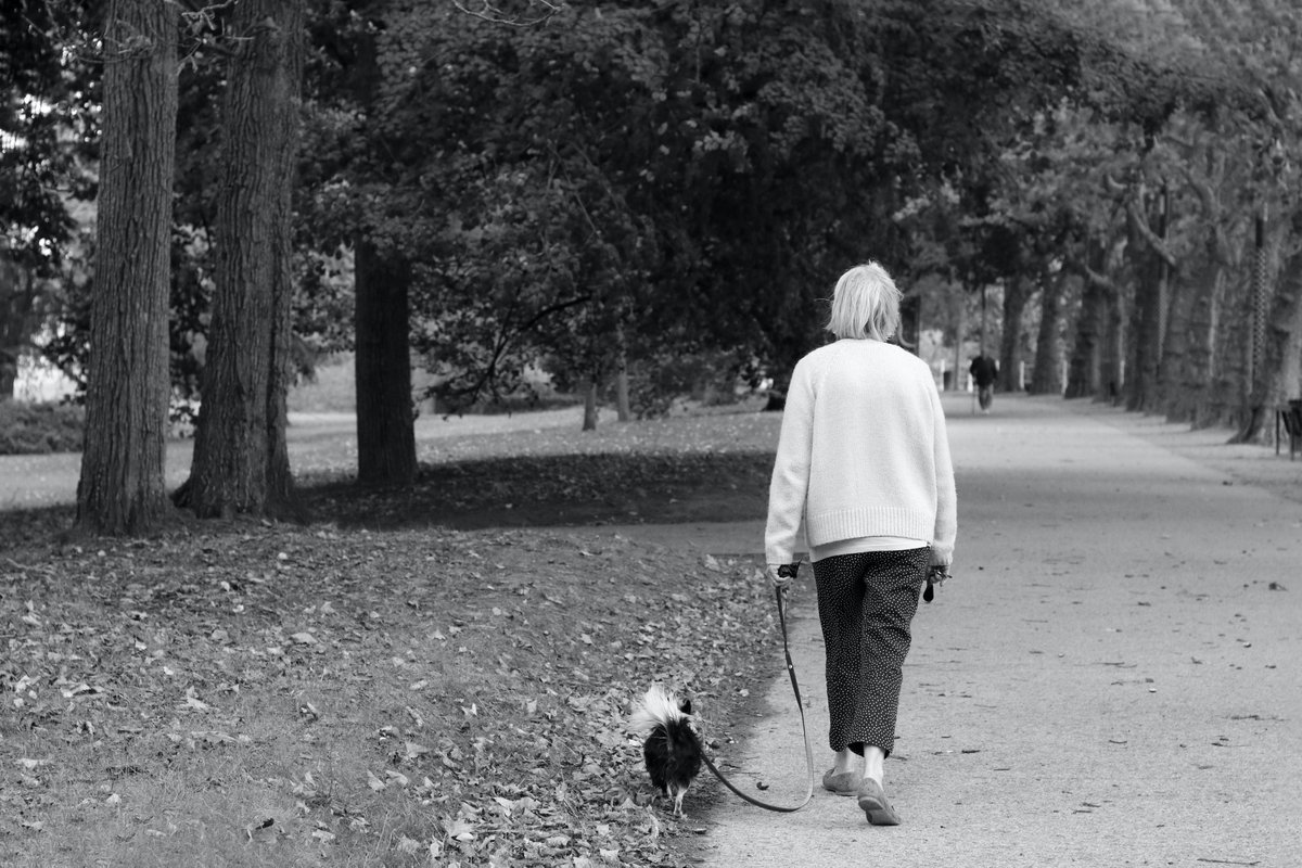 HAIAPA13's tweet photo. HAI Section Research 🔎

More than dog walking: Pets as physical activity and social connection facilitators in the lives of retirement village residents
https://t.co/tnpGWo5YoD https://t.co/2nsD2lx5co