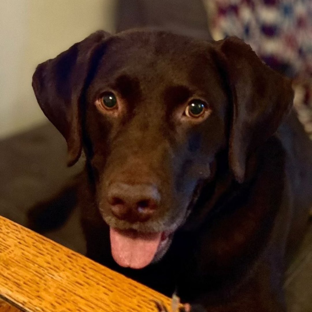 KUTV2news on Twitter "Officials are warning residents about keeping