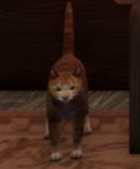Commonwealth Office (Roblox) tweet media