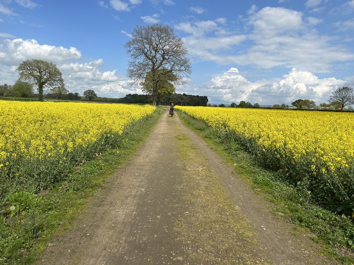 170 miles cycled over 3 and a bit days  10 weeks after a total knee replacement is a good result. Even got some sunburn😊