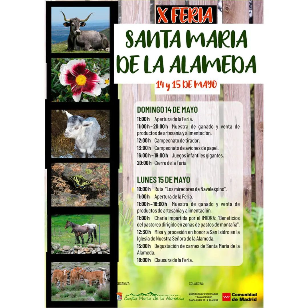 🍊 Disfruta de la X Feria de Santa María de la Alameda este Domingo14 y el Lunes 15: muestra de ganado, venta de productos tradicionales, juegos, campeonatos, rutas... Enhorabuena vecinos!! Enhorabuena Paco <a href="/CsSMAlameda/">Cs Santa María de la Alameda</a> 💪🏻💪🏻