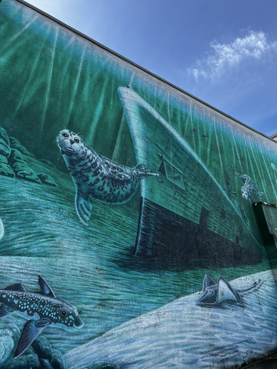 Seal spotting… 🦭 

<a href="/sappyseals/"></a>  <a href="/SappyContent/">Sappy Content</a>