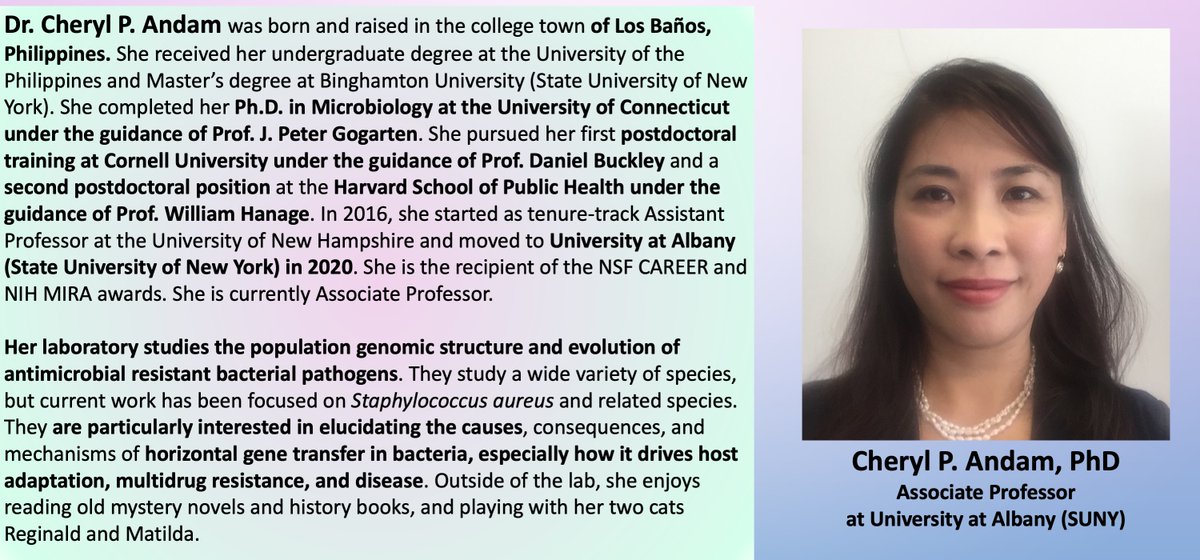 BostonBacteria's tweet image. Let&apos;s celebrate Dr. Cheryl Andam, associate professor at Univ. at Albany (SUNY)! Her lab studies population genomics and antimicrobial resistance in pathogens! Looking at different bugs + mechanisms that drive drug tolerance! is important for combatting this threat! #AAPIHM