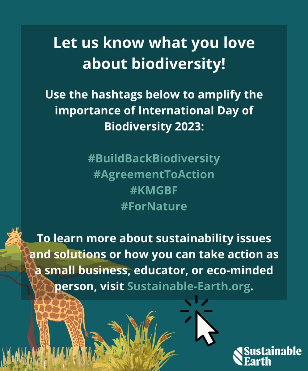More on #BiodiversityDay. Take action today and build a brighter future for tomorrow!

#BuildBackBiodiversity #agreementtoaction #KMGBF #ForNature #animals #plants #Sustainability