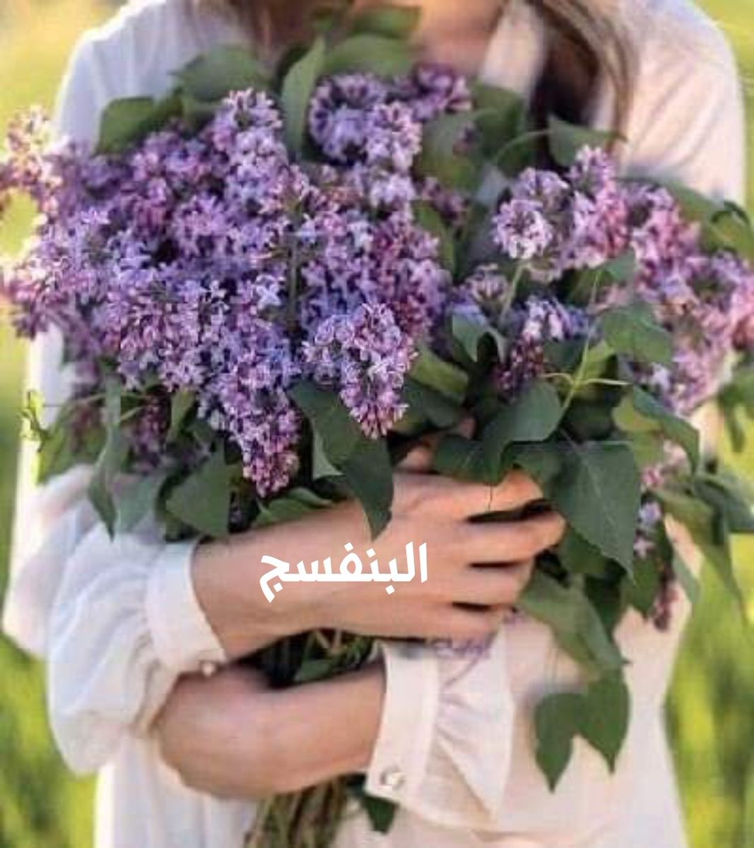 دعوآت بنفسـجيـﮯهہ‏‏💜 tweet media