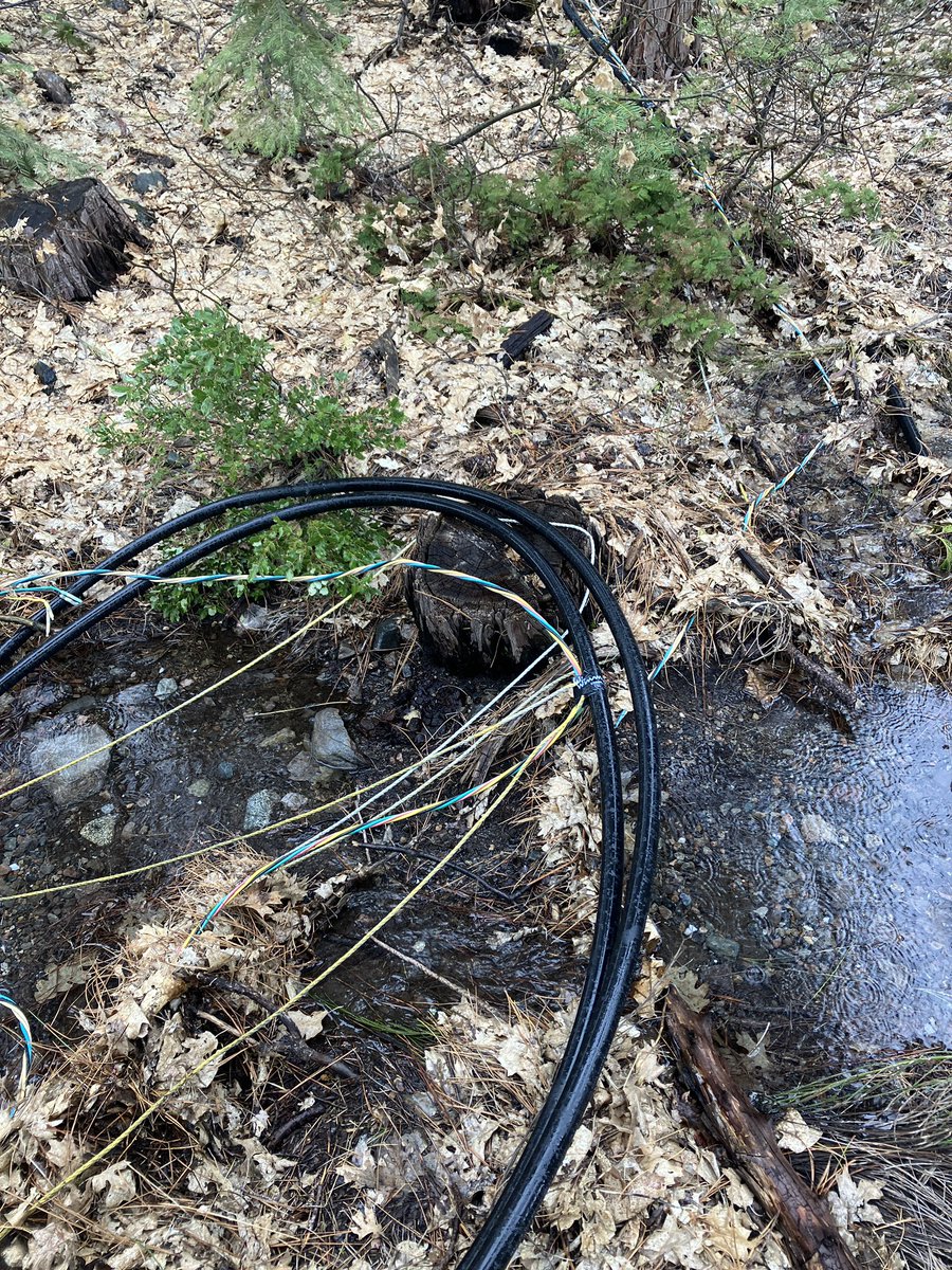 Alexander Huras tweet media