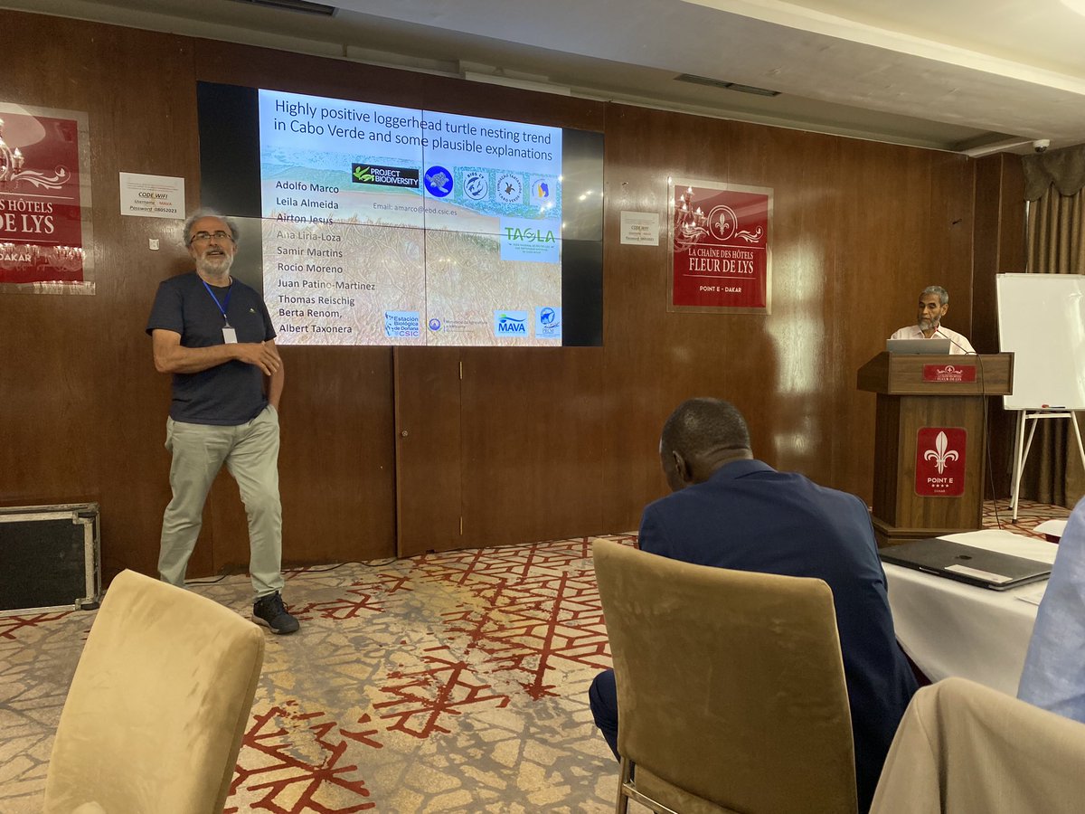 SamirMartins1's tweet photo. Adolfo Marco from @ebdonana talking about the “Highly positive #loggerhead #turtle nesting trend in 🇨🇻…” in the #mavafoundation International Scientific Symposium on the #Conservation of #Marine and #Coastal #Biodiversity in the North-West #African Sub region. https://t.co/yYmJb8jjq0
