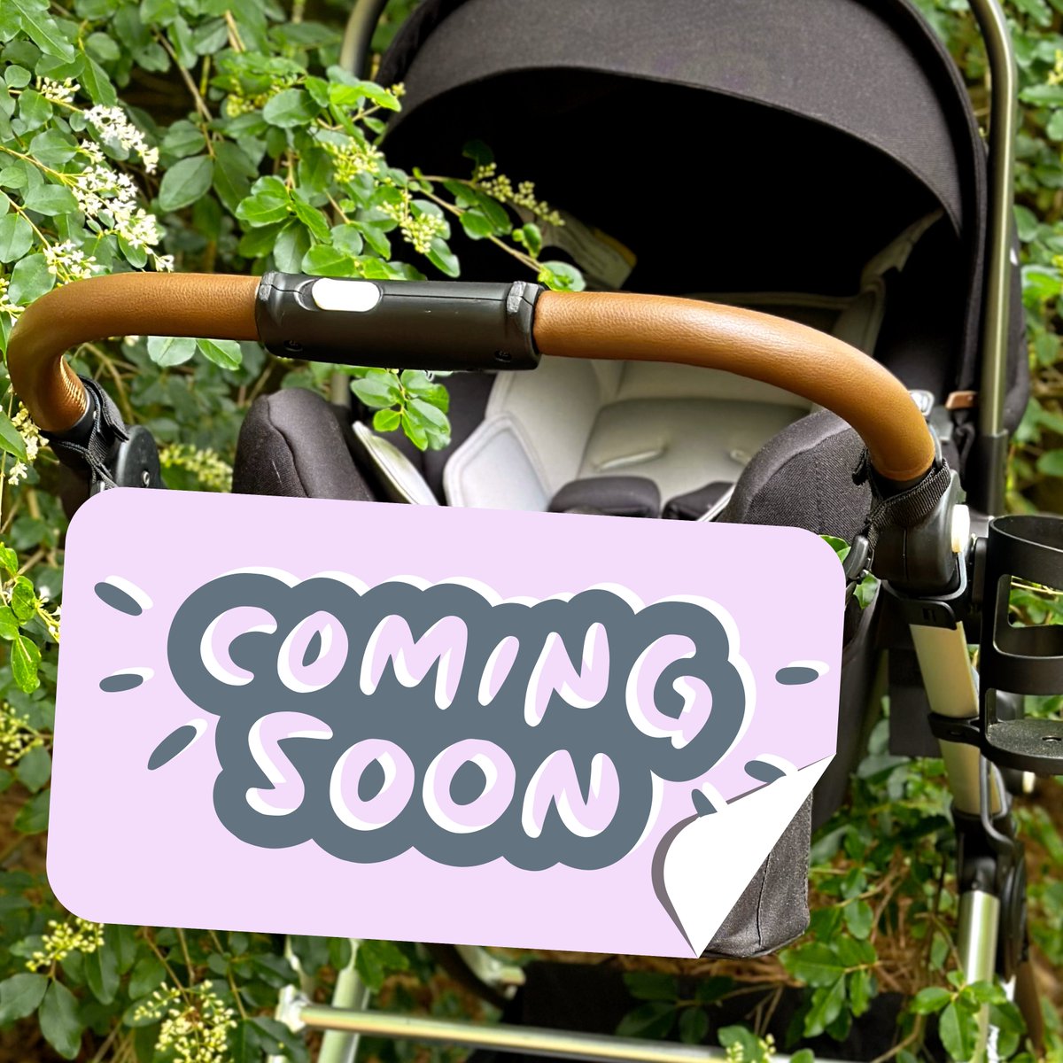 Mockingbird tweet media