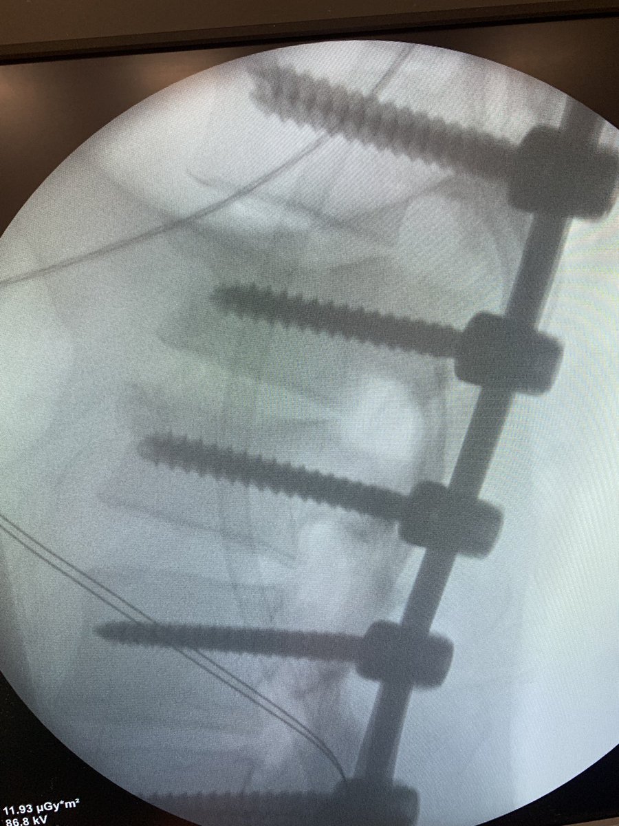 dr_haluk yaka tweet media