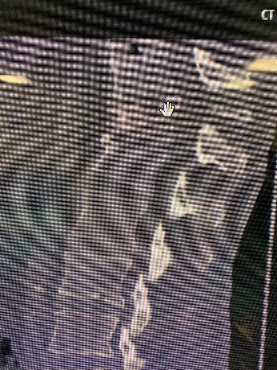 dr_haluk yaka tweet media