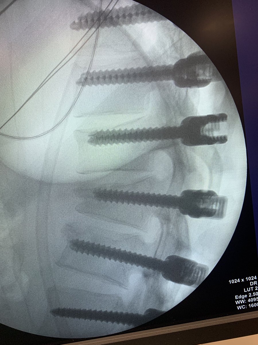 dr_haluk yaka tweet media