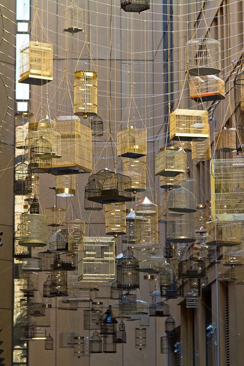 rjsamuelsofficl's tweet image. ASPECT Studios suspended bird cages for this public art installation in Sydney and it's magical!