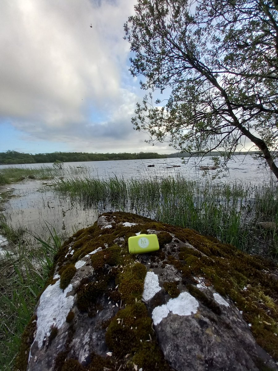 Aoife O'Brien tweet media