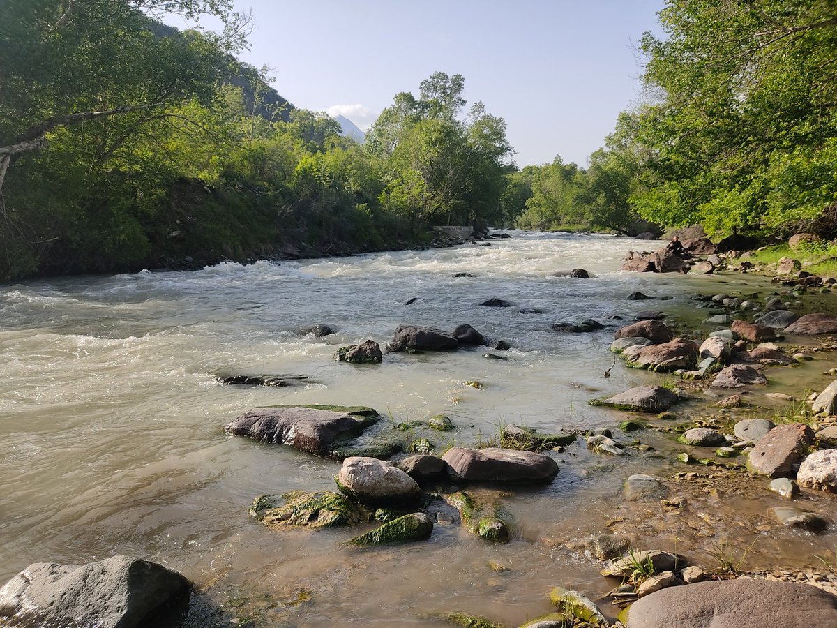 Erkin Karimov tweet media