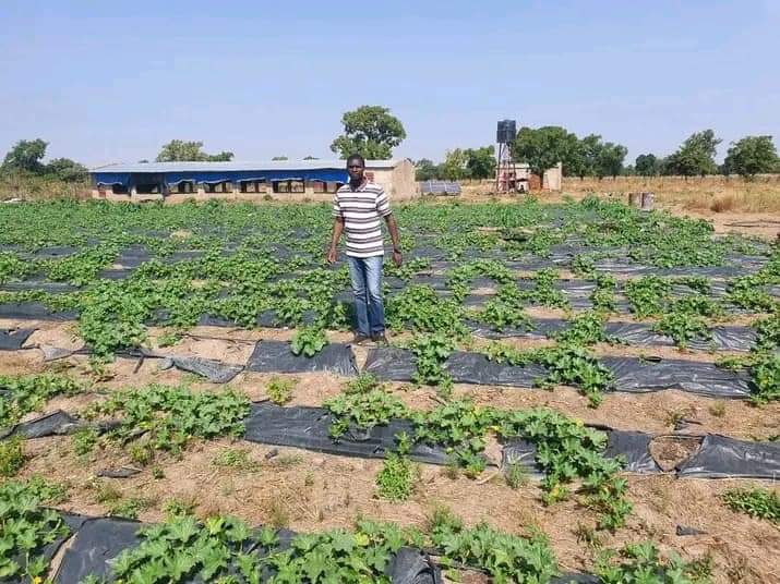 BFm10447235's tweet photo. Entrepreneuriat jeune Mali 🇲🇱
Lui c'est Alpha Ba , un soldat de la terre, un jeune engagé pour l'autosuffisance alimentaire.
Il évolue dans l'agriculture et l'élevage !
Alpha fait partie des jeunes qui ont compris que l'entrepreneuriat est la solution au problème du chômage https://t.co/NzM4zkrsU5