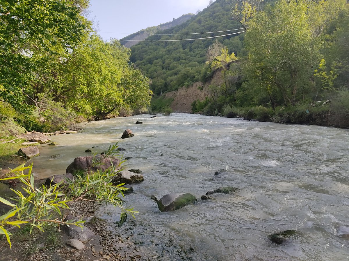 Erkin Karimov tweet media