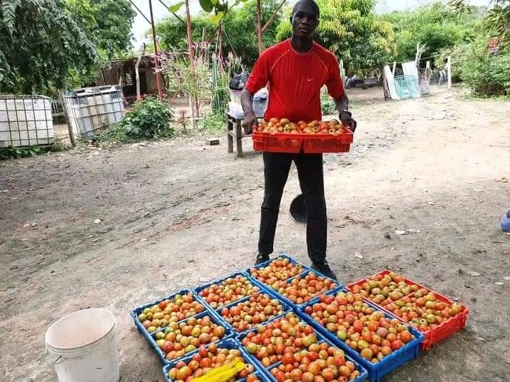 BFm10447235's tweet photo. Entrepreneuriat jeune Mali 🇲🇱
Lui c'est Alpha Ba , un soldat de la terre, un jeune engagé pour l'autosuffisance alimentaire.
Il évolue dans l'agriculture et l'élevage !
Alpha fait partie des jeunes qui ont compris que l'entrepreneuriat est la solution au problème du chômage https://t.co/NzM4zkrsU5