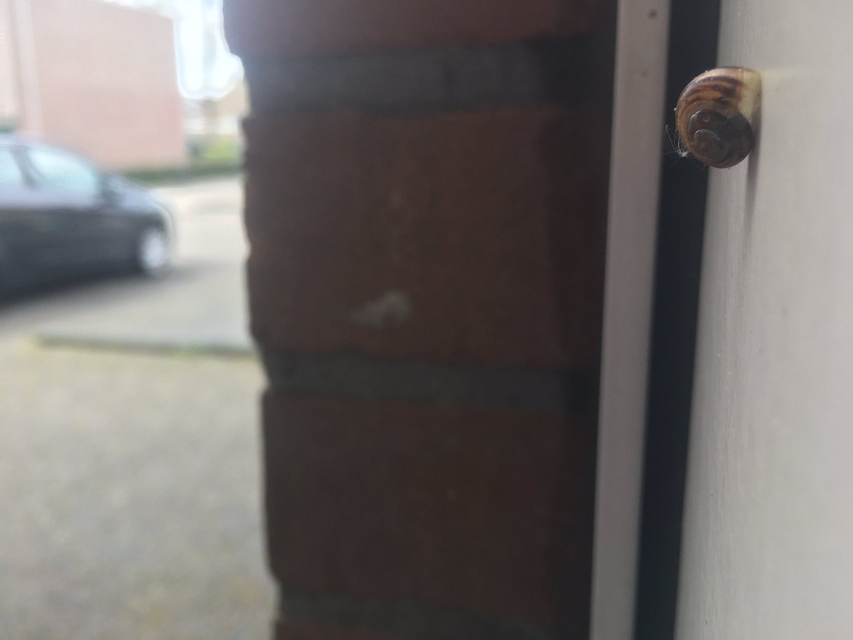 Hiklander's tweet photo. #kiekjes #slak #auto #langzaam #snel #geparkeerd #spehornerbrink #emmen #weekend #mooiweer https://t.co/AlBB2pGEO7