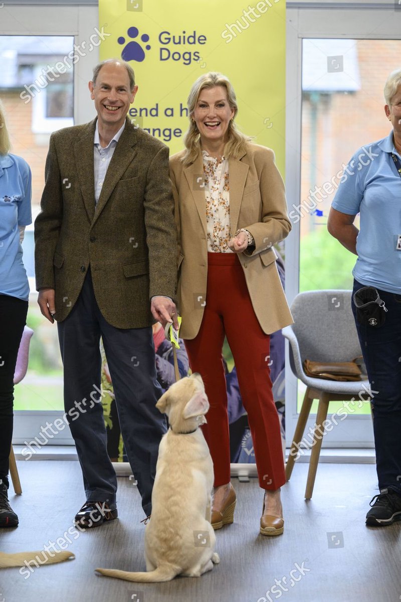 I know I've already tweeted a million photos of The Duke and Duchess of Edinburgh with the puppies today, but just look at these two more. 

Tricky dog vibes 🐶😅

#TheBigHelpOut