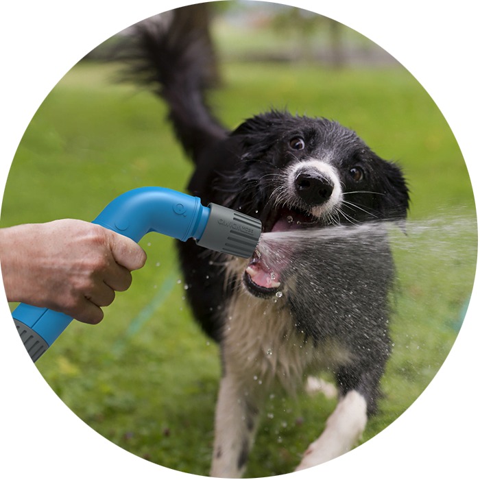 rugbyrep tweet media