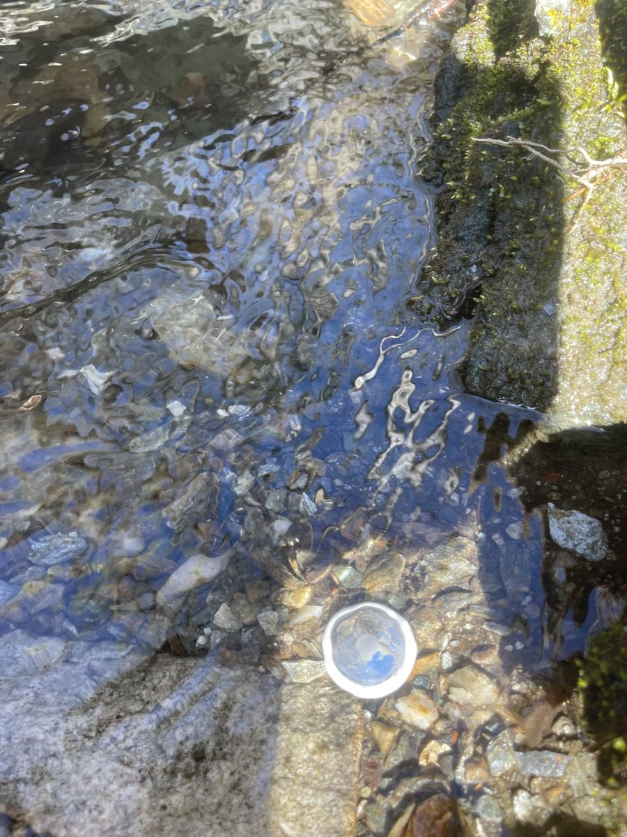 lupelu34's tweet photo. My dog lost his #Apple tag hiking in Vt last week. We went  back a week later and walked right up to it. #Offgrid #GreenMountainNationalForest It was way off a nondescript trail sitting in a brook and I easily tracked it without cellular service. Amazing. https://t.co/FVstq2ojn3