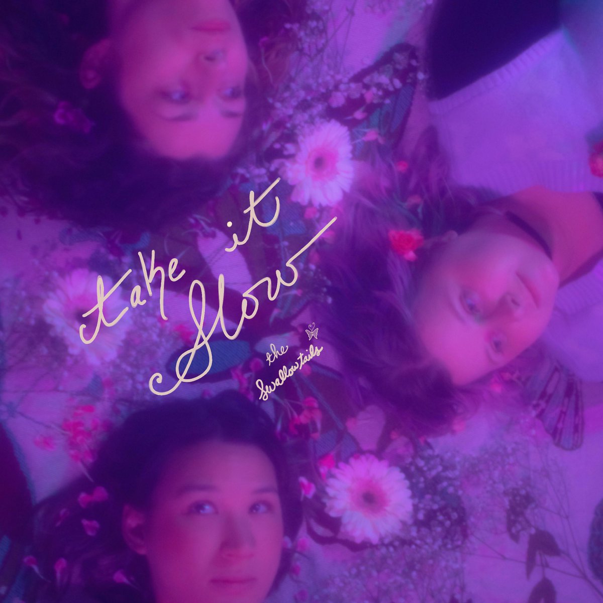 Miki P & the Swallowtails tweet media