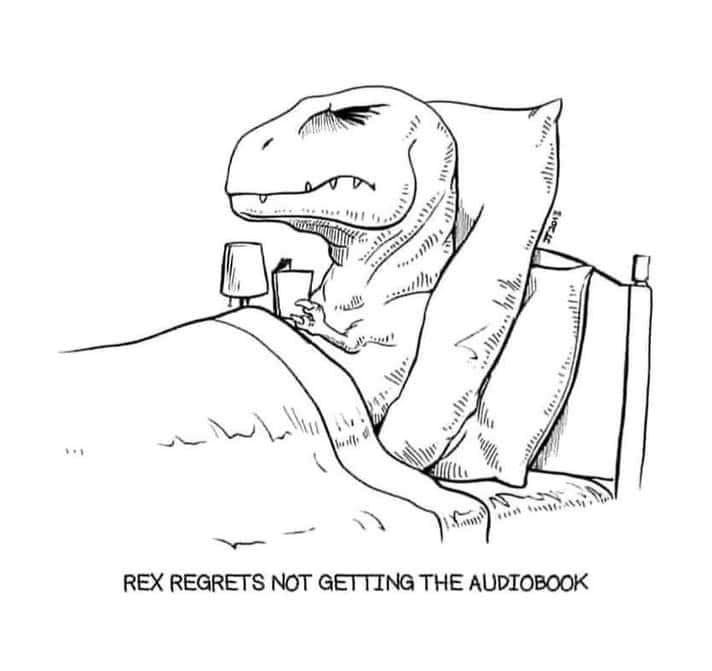 We'll just add this to our list of things we're grateful for... 🦖

#books #read #reading #indiebooks