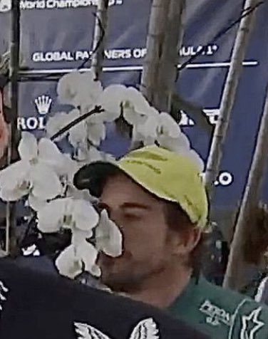 EXPLICACIÓN

¿Por qué Fernando Alonso huele las flores?

ABRO HILO: