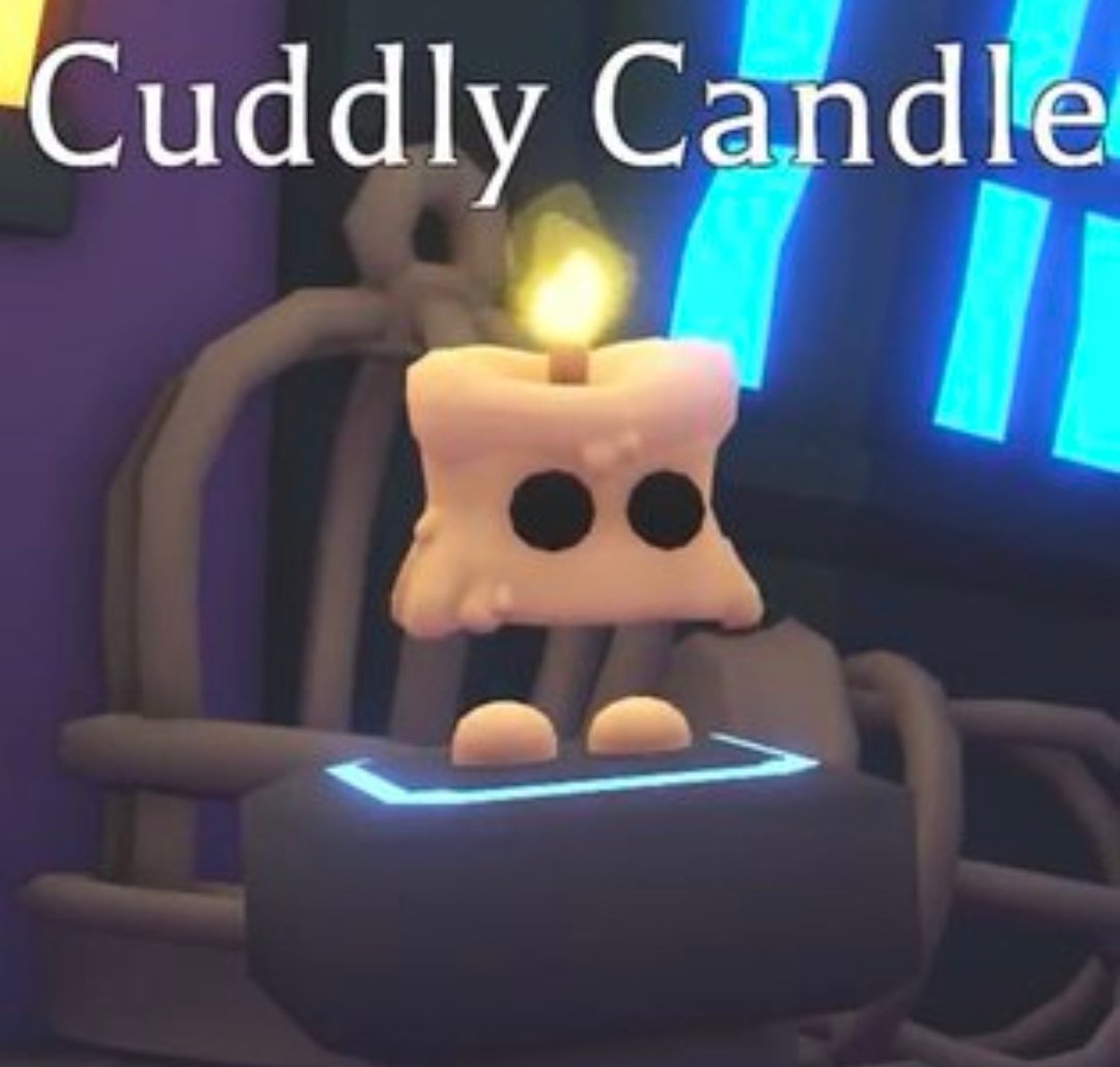 Burt News tweet media