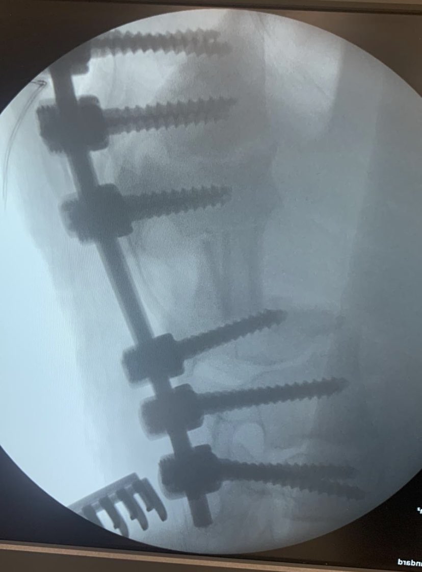 dr_haluk yaka tweet media