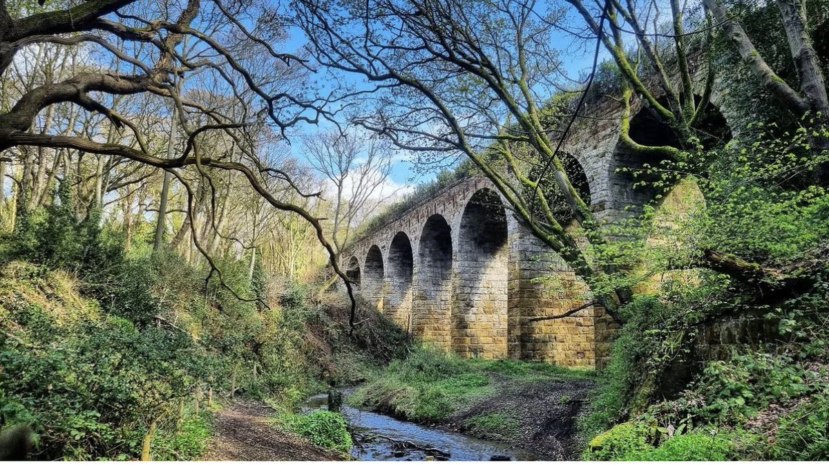 bordersbeeching's tweet photo. Just bought two amazing disused railway prints from @parttimehuman_ and @richard_hudds Incredibly beautiful. https://t.co/zSzCzP5PWi