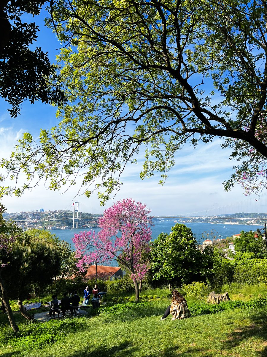 sinan_ertenn's tweet photo. İstanbul’da bahar esintisi https://t.co/6et1ws03U8