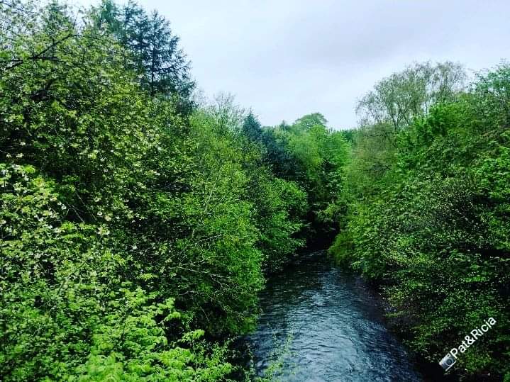 PATandRICIA's tweet photo. Out and about ❤️
Nature is truly amazing 🌱💚
#nature #naturephotographer #naturephotography #springflowers #springseason #bloomingflowers #walking #adventurelover #pictureoftheweek #photooftheday #photographer #photography #adventureseekers #natureblogger #healthyliving #photo https://t.co/wKmU1HjEGl