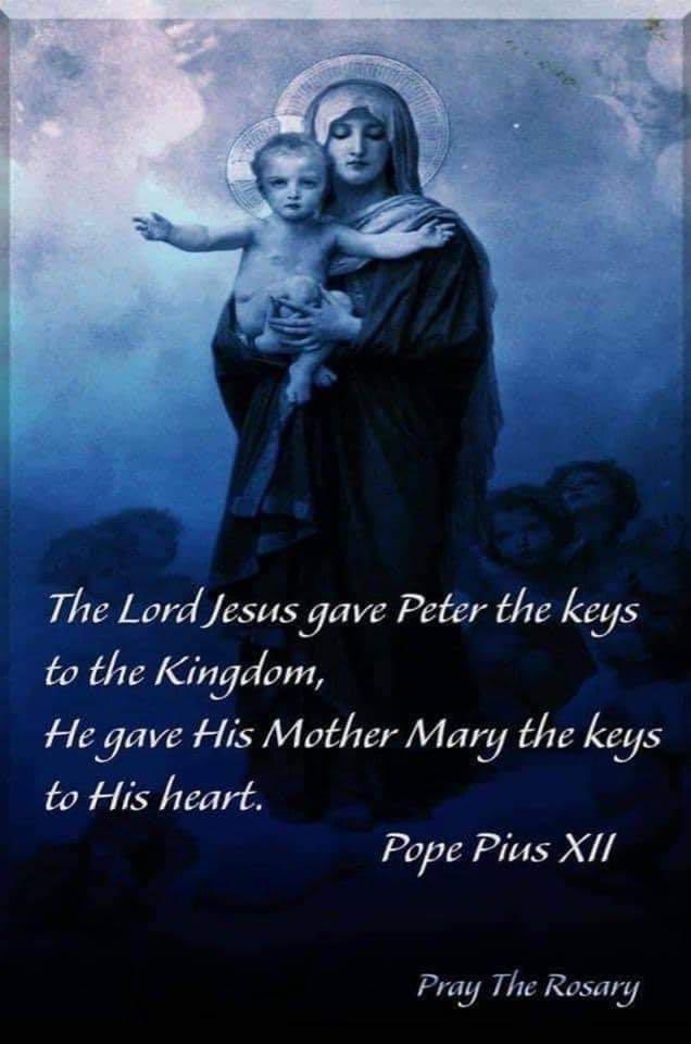 🙏👍 Ave Maria! 

#MaterDei #ReginaCaeli #Rosarium #SalveRegina #TradCat #CatholicTwitter