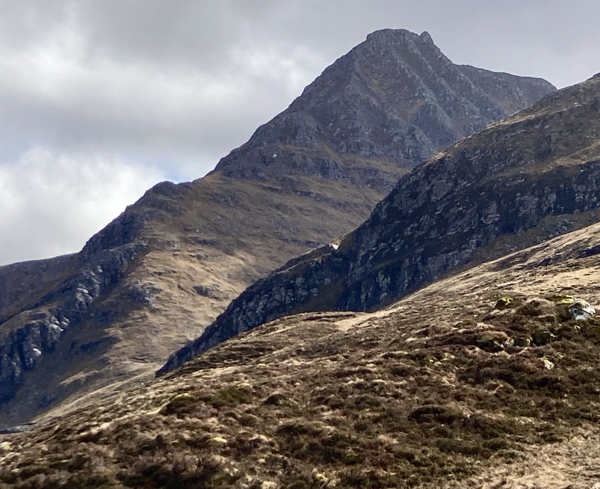 John King tweet media