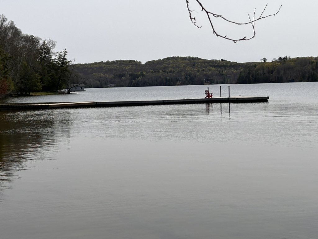 The dock is out! #muskoka