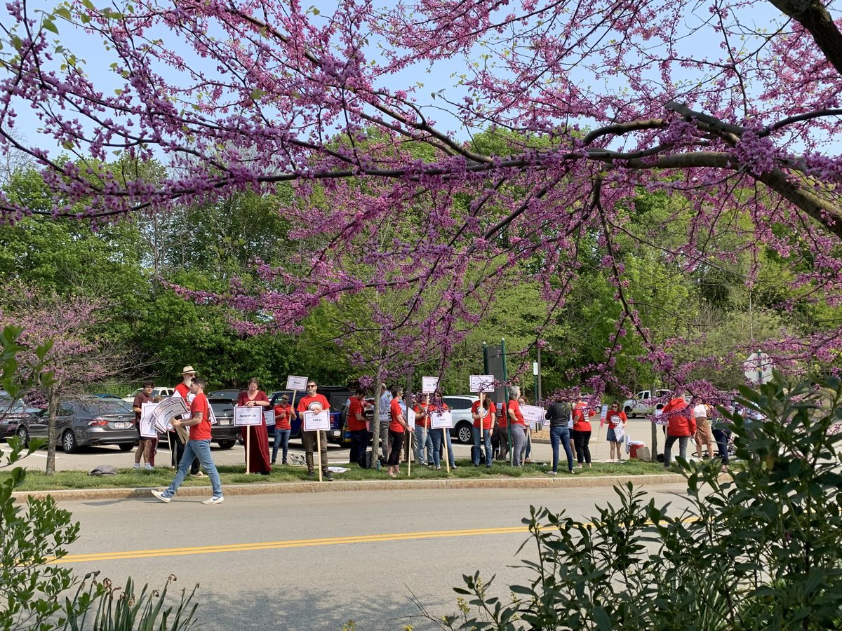 WEAunion's tweet image. Educators coming out to support our bargaining team this afternoon. Come on out! #fairfivenow #whatwillittake