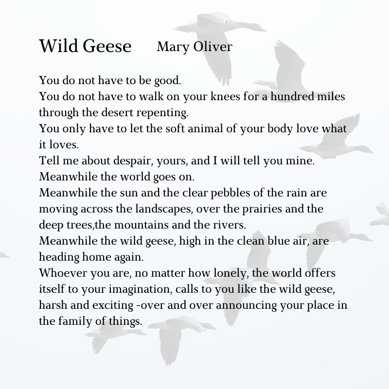 Mary Oliver's poetry has always touch me. This one in paticular. All you have to do is try your best, and that is enough.