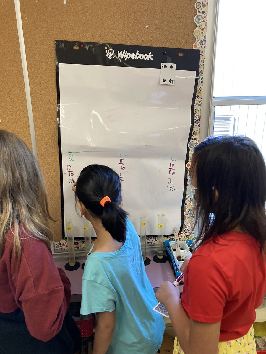 Oren Siegel tweet media